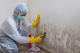 Best Mold Remediation for Healthcare Facilities in North Braddock, PA